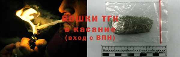 МДПВ Снежинск