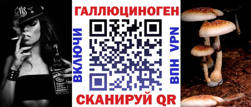 Псилоцибиновые грибы Psilocybine cubensis Весьегонск